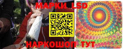 гидропоника Заводоуковск