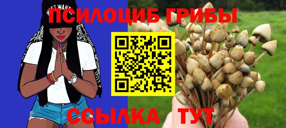 Галлюциногенные грибы Cubensis Нефтекумск