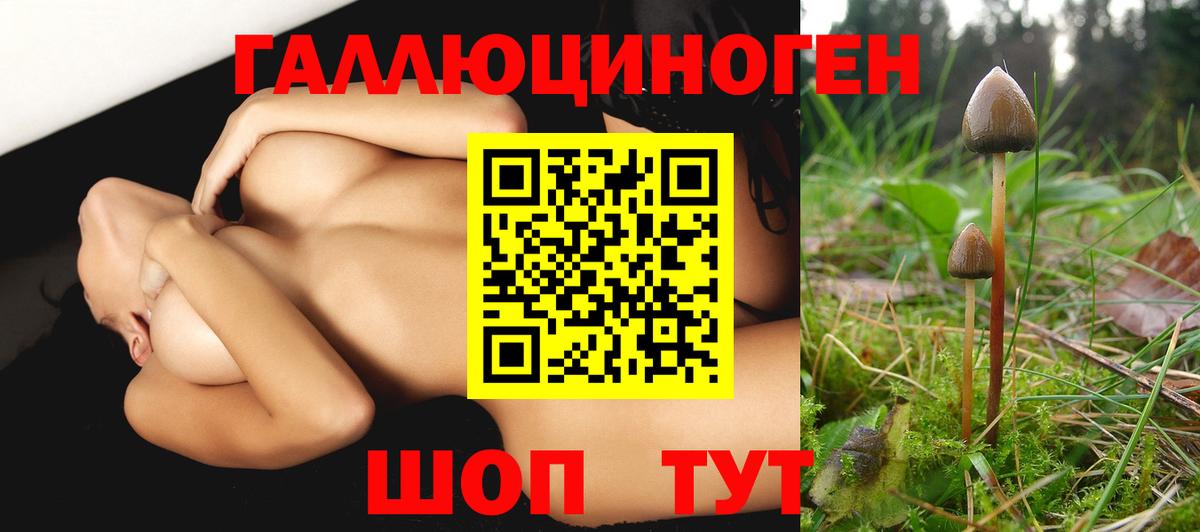 Нефтекумск  Псилоцибиновые грибы ЛСД  Вход с VPN 